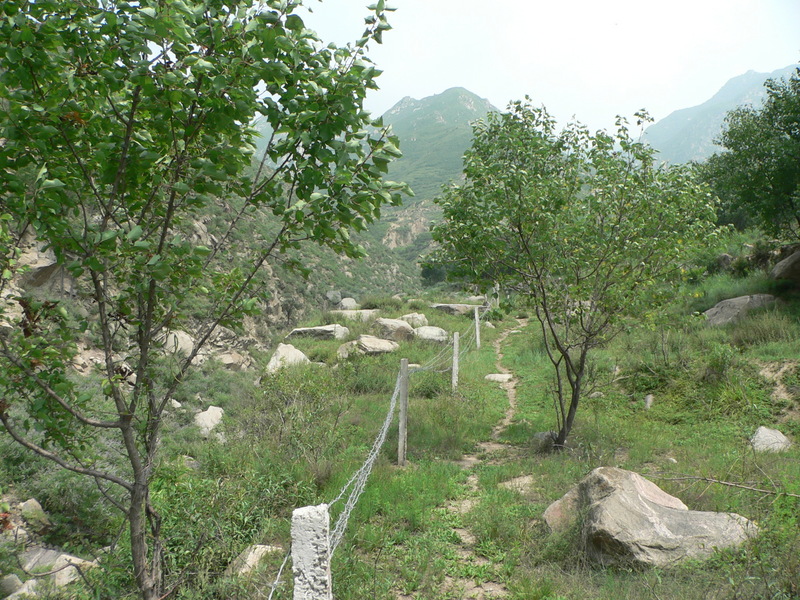 Sheep trail leading up the valley