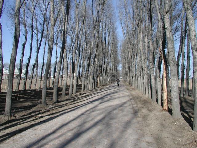 Nearby road leading to the point