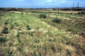 #1: General view - expressway near horizon