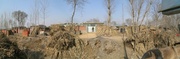 #2: Northern view across the ditch with donkey as foreground