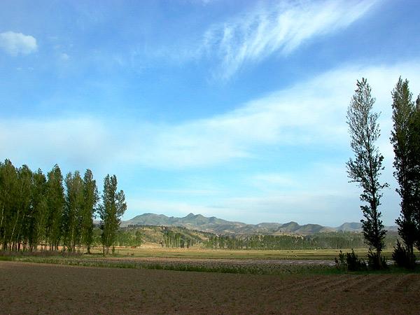 Filed between road and river, look to the South East