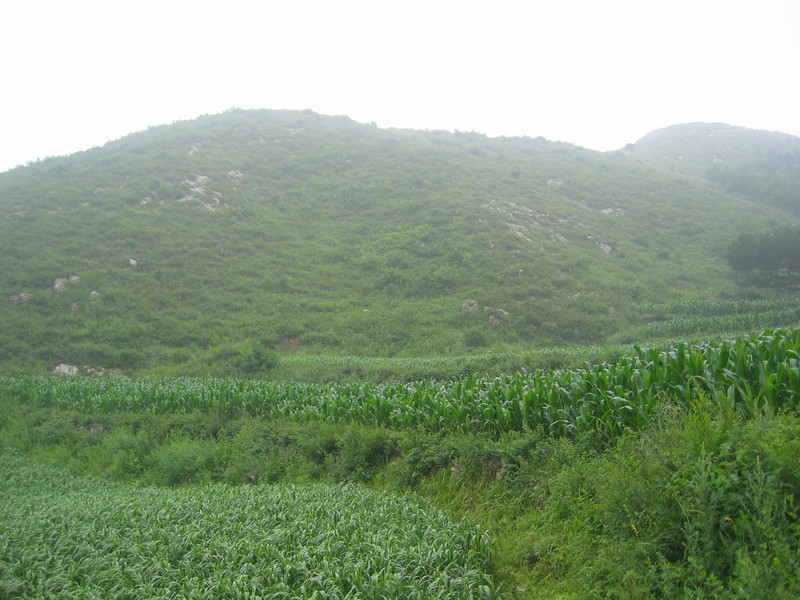 The Confluence from 40 m