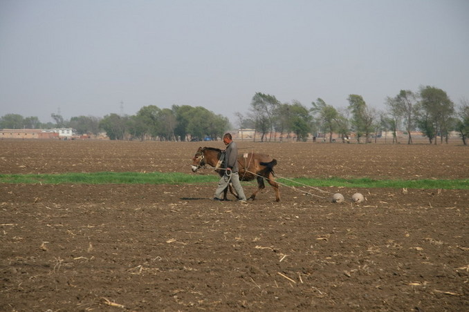 Traditional way of farming