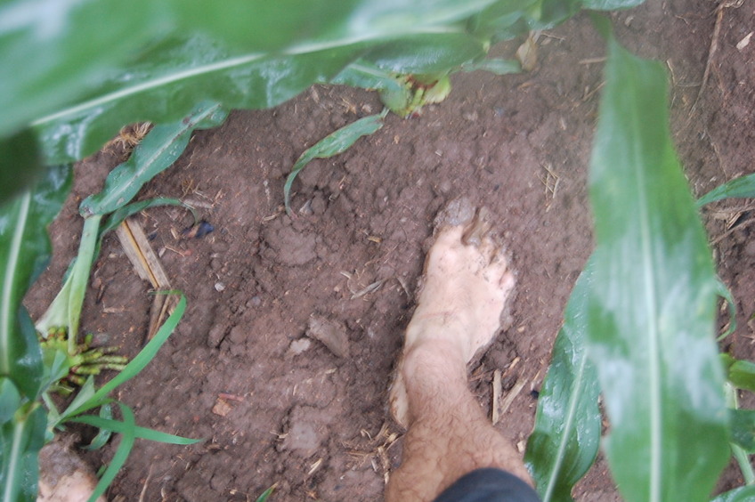 Another muddy barefoot confluence