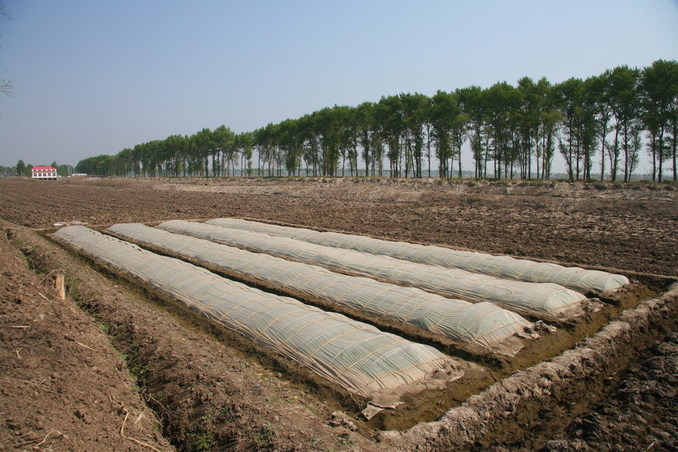 Greenhouse in field