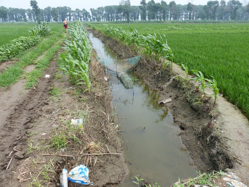 Frog trap in the ditch beside the track