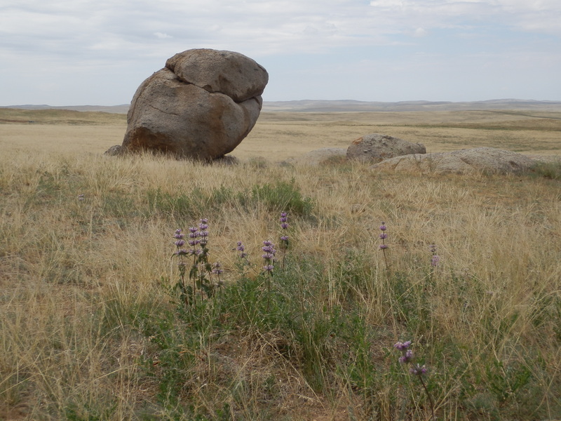 Stone along the Hike