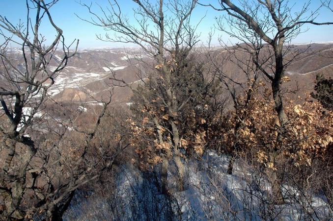 West view at ridge 100 meters from the CP