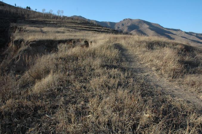 Looking North at the rim of the gully