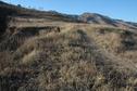 #4: Looking North at the rim of the gully