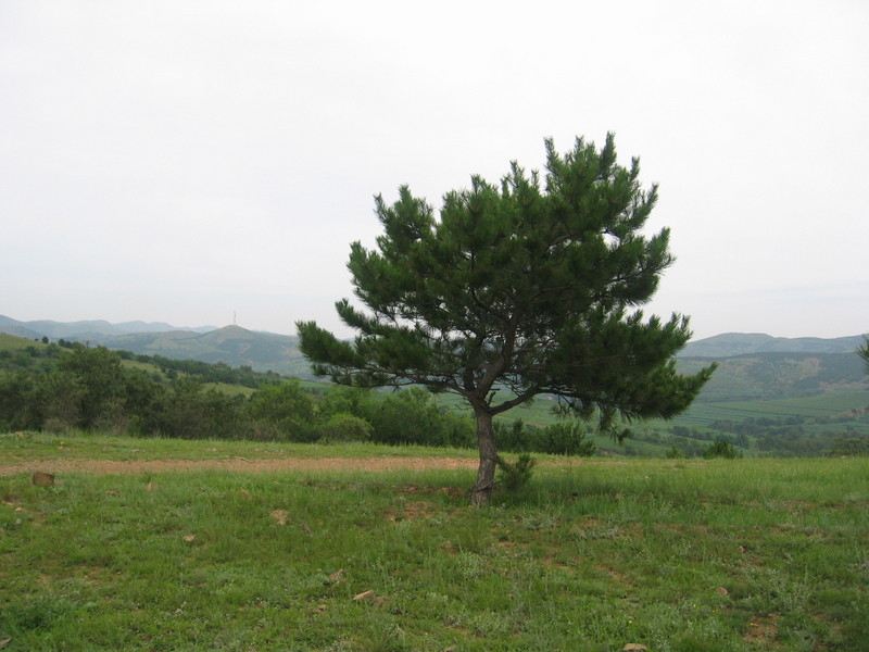 View towards the Confluence from 2 km