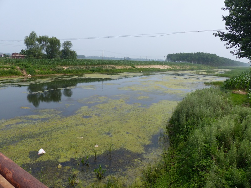 Canal next to the confluence