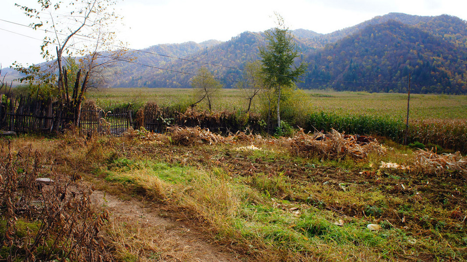 汇交点 / General View