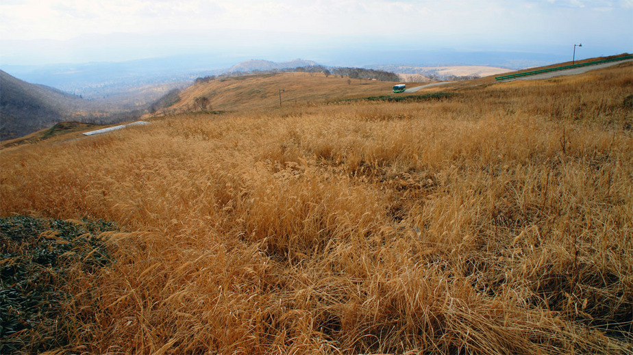 汇交点 / General View