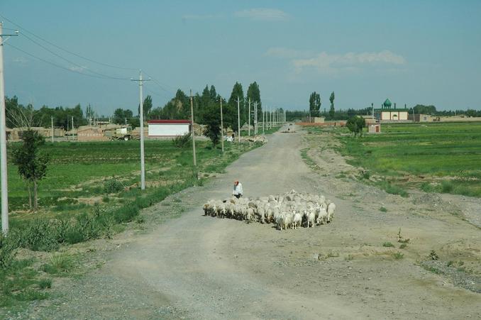 A view of the Heart of Asia village - about 1.5 km from the monument