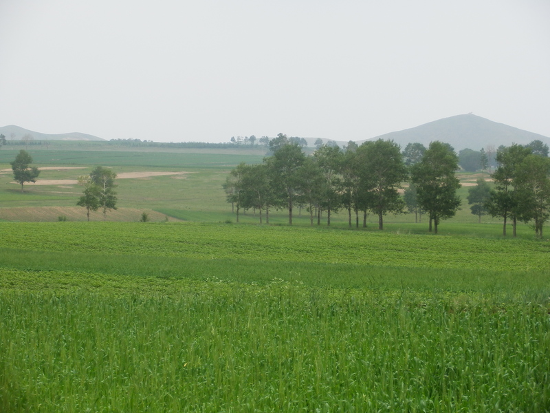 The Confluence from 50 m