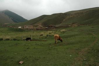 #1: Confluence point near end of the valley near the ranch house