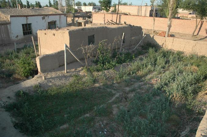 Confluence point located by the mud wall near the end of the yard