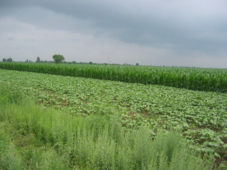 #1: The Confluence from 50 m