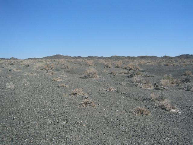 North view of confluence