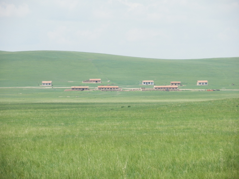 Houses seen from the Confluence