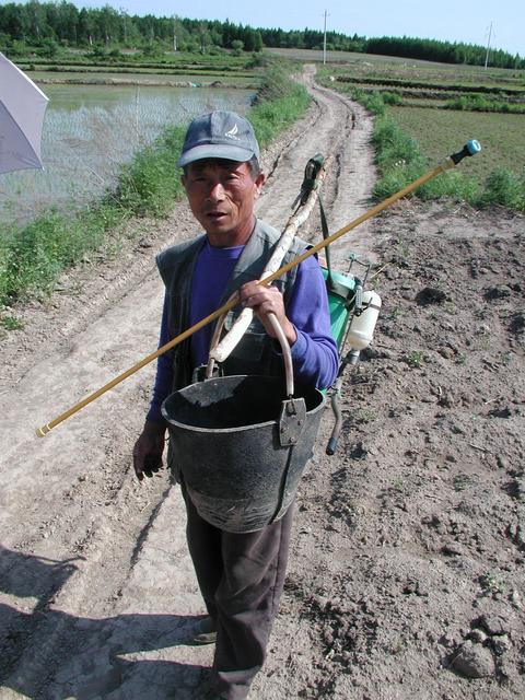 The farmer whose newphew owns the rice patty where CP located