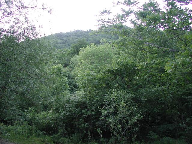 Confluence point is over the hill about 2.6 km away