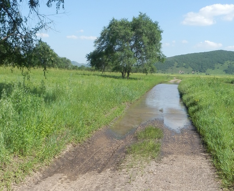 The Water Filled Road