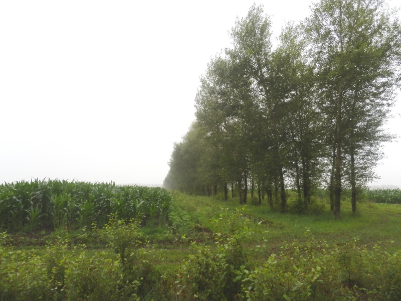 The Confluence from 30 m