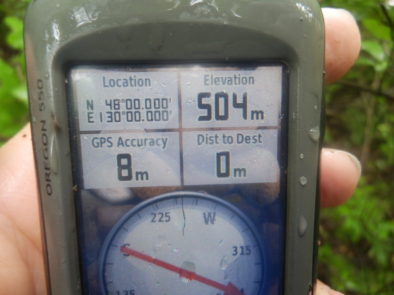 GPS Reading