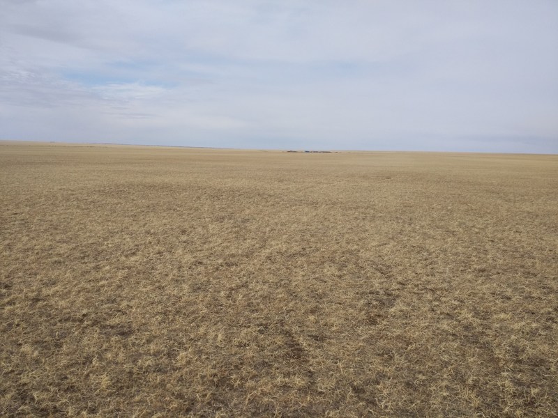 General view of the confluence