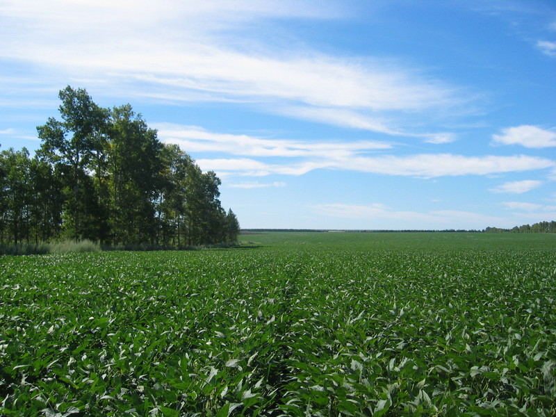 View to the South