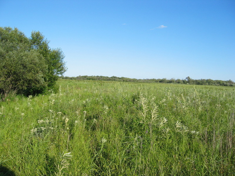 View to the East