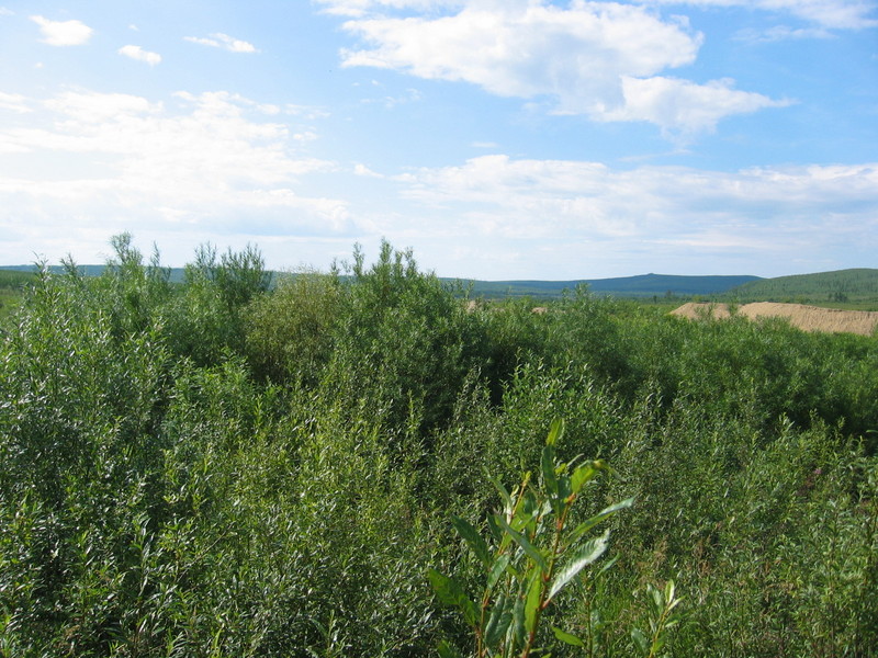 The Confluence as seen from the Knoll