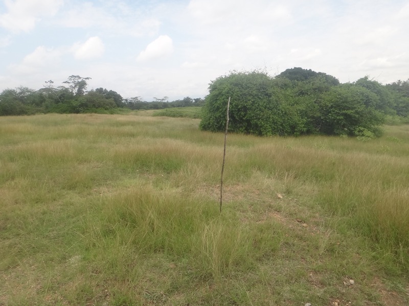 General view of the confluence