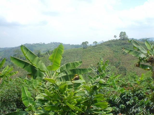 General view of the confluence