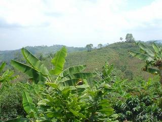 #1: General view of the confluence