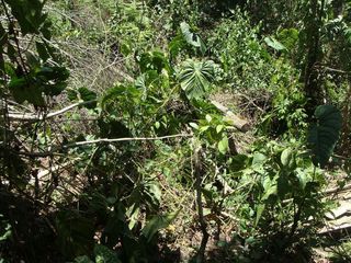 #1: General view of the confluence