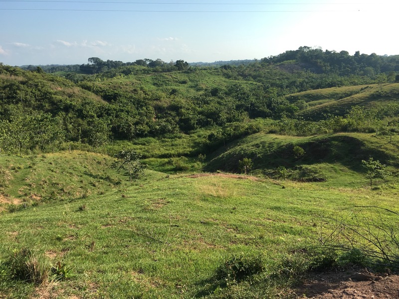 The Confluence from 50 m distance