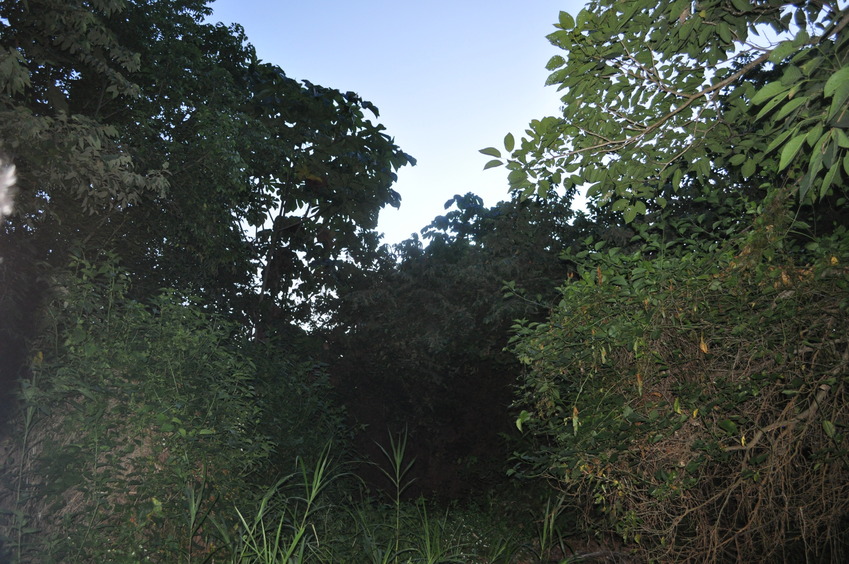 General View of the confluence