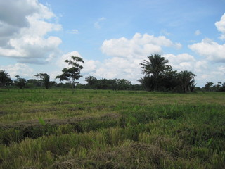 #1: General view of the confluence