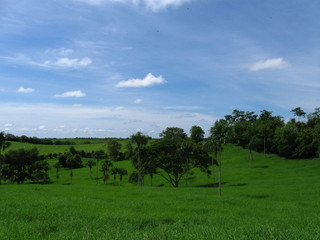 #1: Picture of the confluence within 100mts