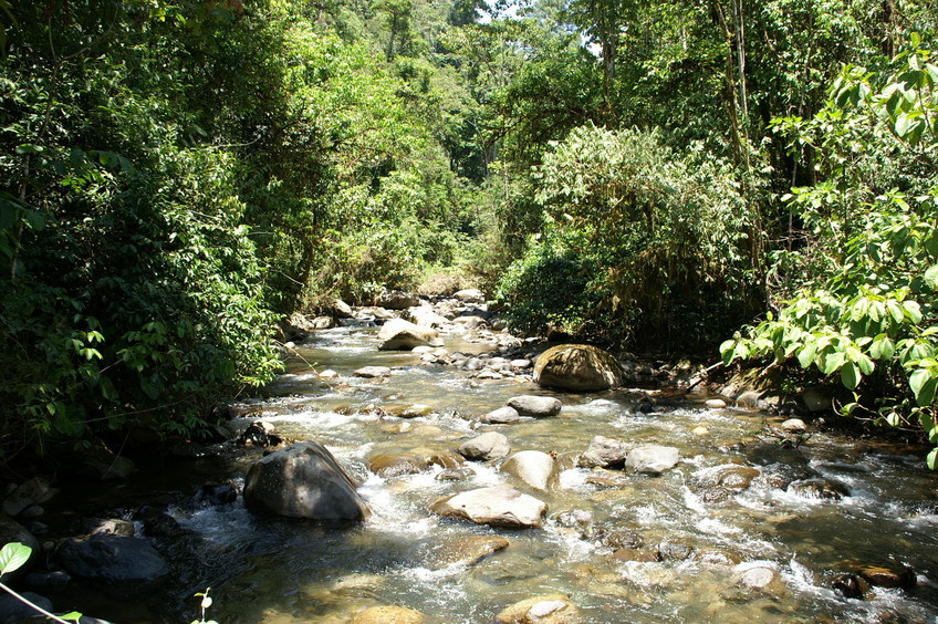 The river we walked along