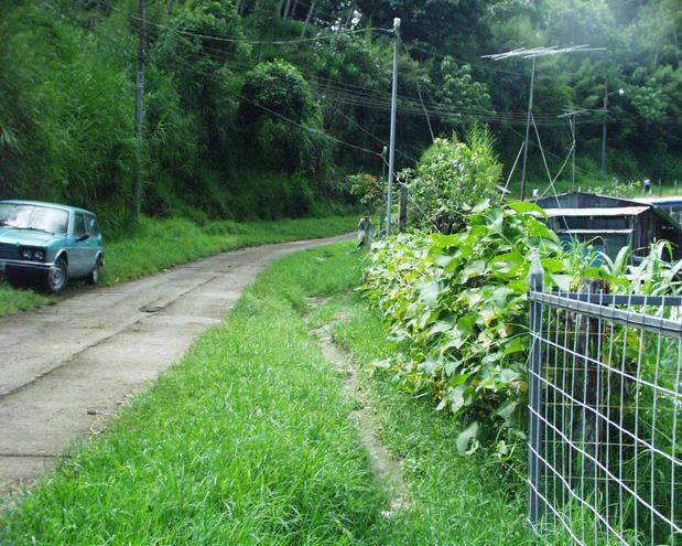 we came down this road. the point is just on the other side of the fence