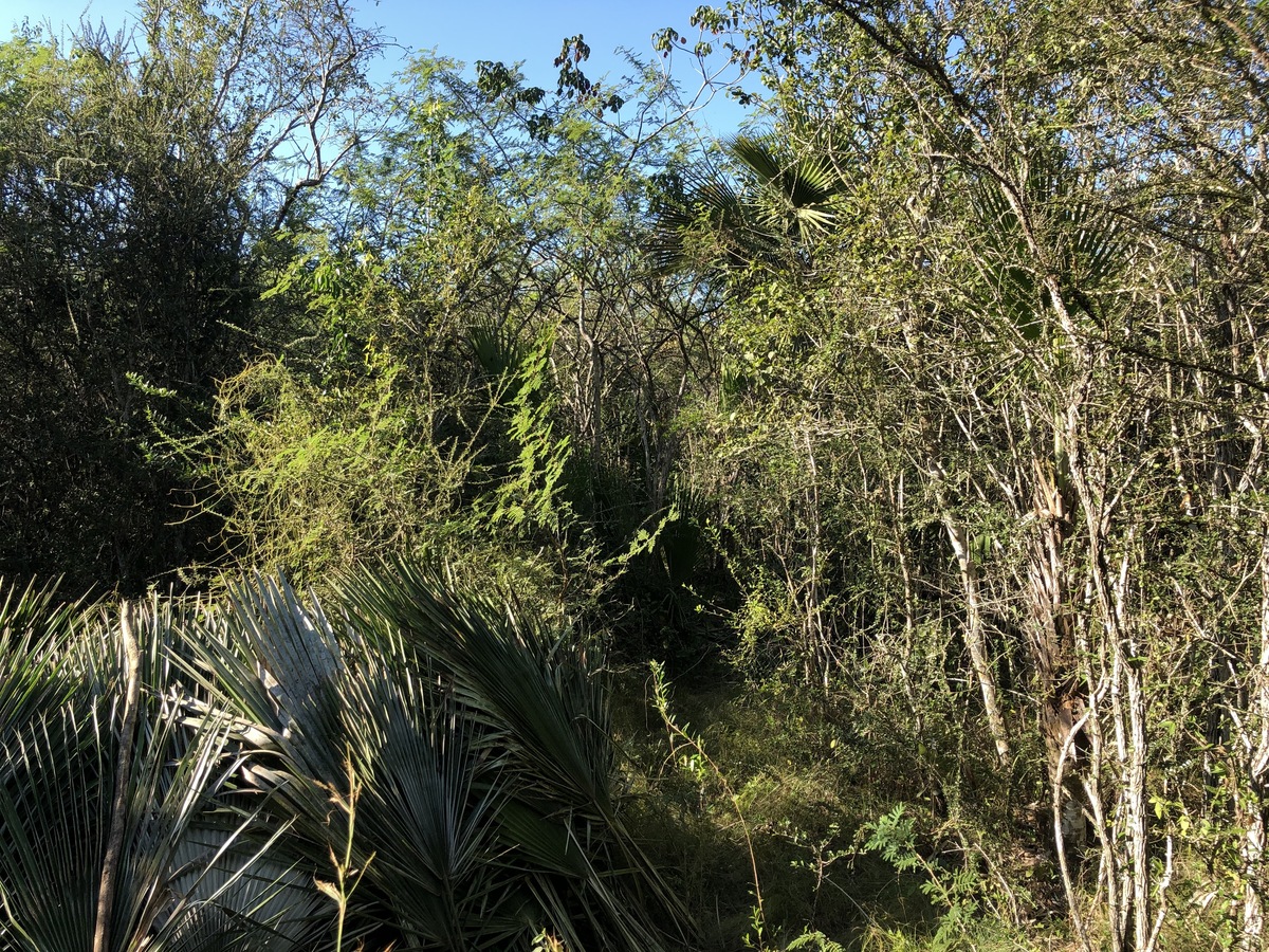 The Confluence from 10 m Distance