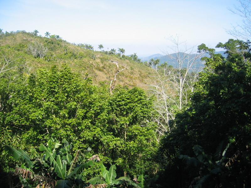 The Confluence from 90 m