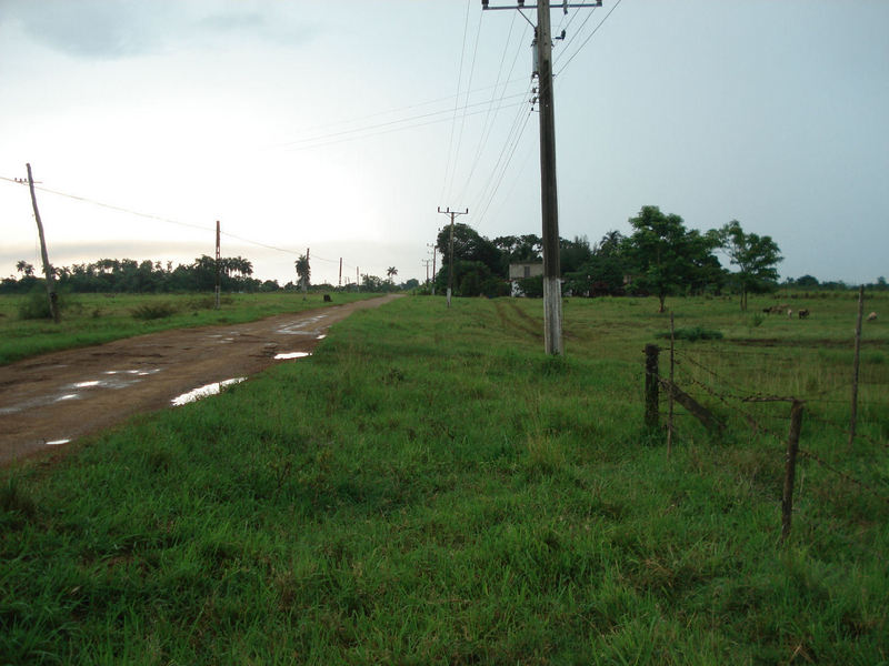 Site