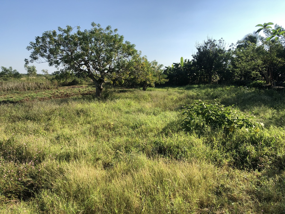 The Confluence from 15 m Distance