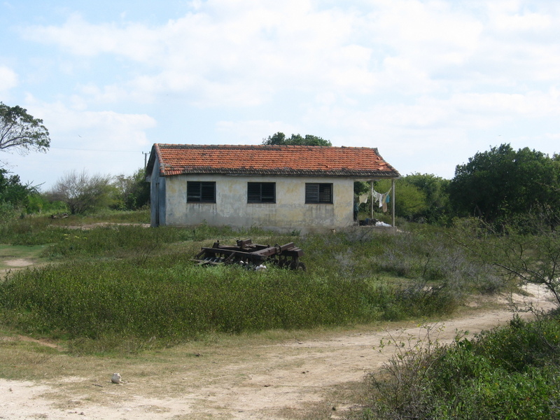 The Nearest Farmhouse (350 m)