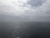 #4: The Confluence as seen from the ferry